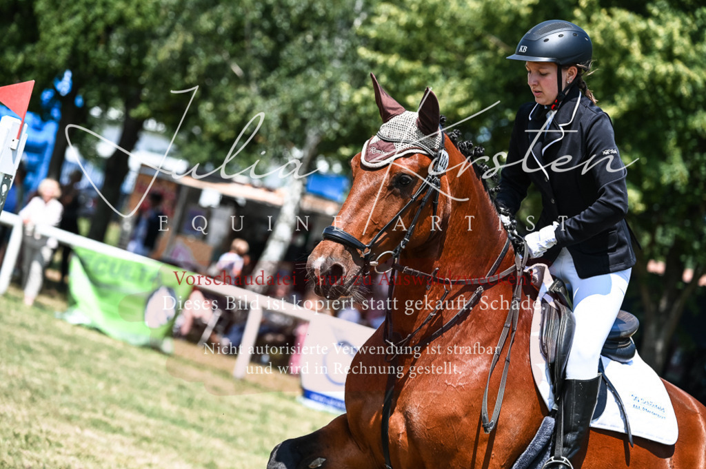 DSC_9889 | Pferde- und Turnierfotografie in Westsachsen. Pferdeportraits, Auftragszeichnungen und intuitive Kunst.