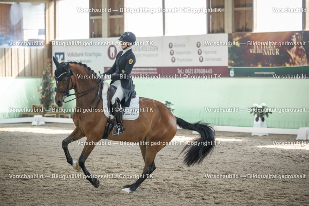 _D5A9531 | Emotionale Pferde- & People-Fotografie rund um Heidelberg, Leimen & Umgebung. Natürliche Fotos von Pferd, Mensch & Familie. Jetzt Termin sichern!