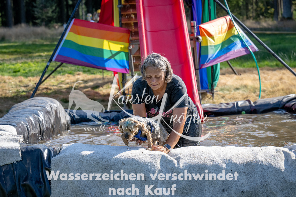 1627_ZZ94209 | kk-dogfotos