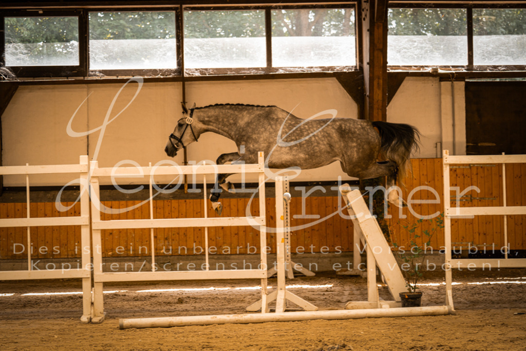 FrFS00017 | Leoni Ertmer Photography - Realisiert mit Pictrs.com