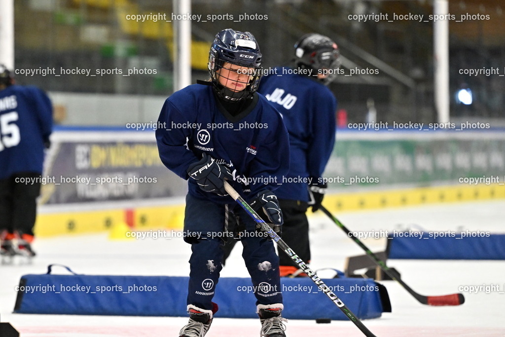 Z9B_1931 | hockey sports photos, Pressefotos, Sportfotos, hockey247, win 2day icehockeyleague, Handball Austria, Floorball Austria, ÖVV, Kärntner Eishockeyverband, KEHV, KFV, Kärntner Fussballverband, Österreichischer Volleyballverband, Alps Hockey League, ÖFB, 