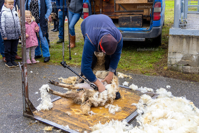 SchaZie-Tag Feldkirchen | Bildershop von pixelworld.at - Realisiert mit Pictrs.com