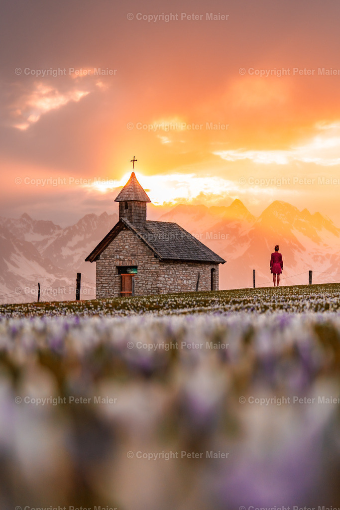 Glocknerblick-461 | piet_flosse