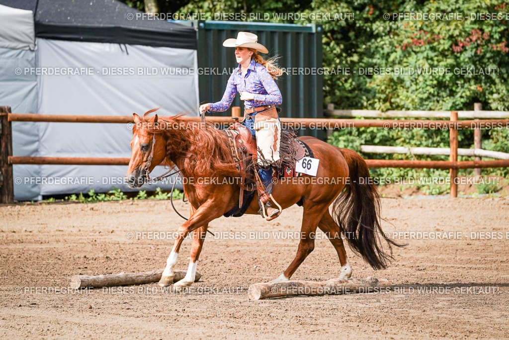 DSC00017 | Pferdegrafie