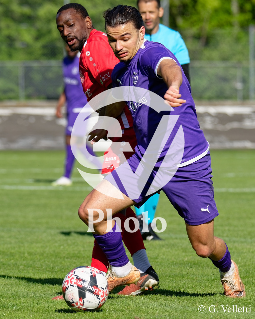 DSC_7218 | Velletri Photo