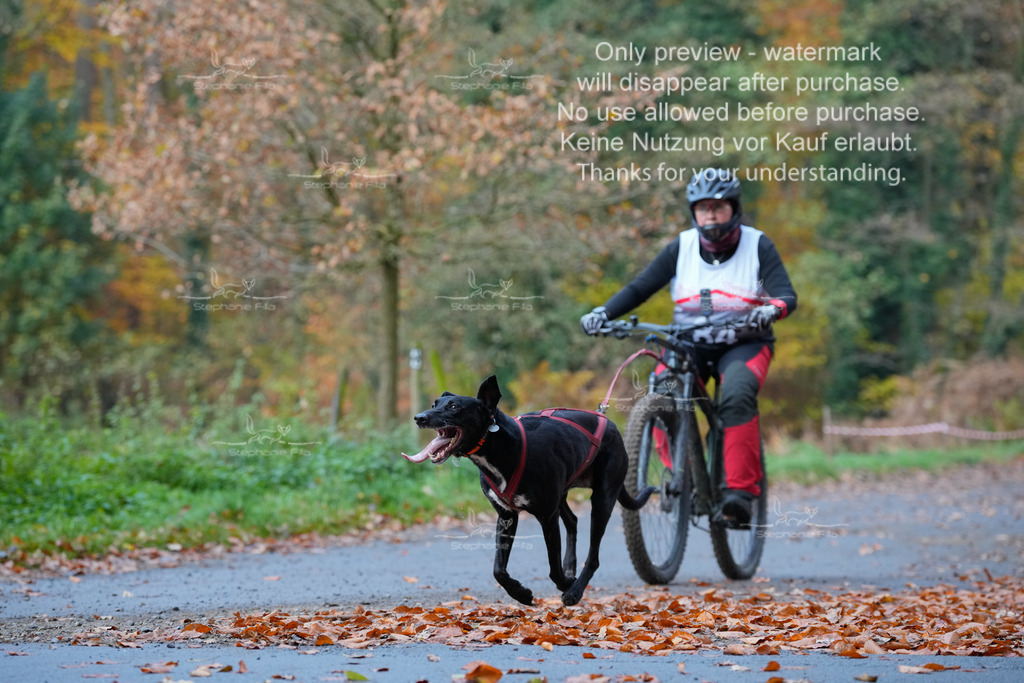 Bike_So-159 | stephaniefillaphotographie - Realisiert mit Pictrs.com