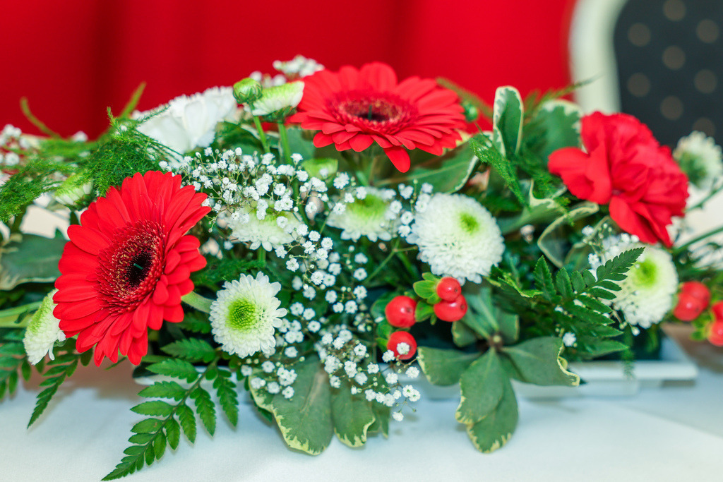 top-top.de-250530-011 | Foto, Video, Fotografie, Videografie, Fotobox, DJ, Discjockey, Musik, Musikbox, Veranstaltung, Photobooth, Amazon, Ebay, Buchtipp, Bestseller, Autor, Verlag, Buch, Wesel, Hamminkeln, NRW, Dinslaken, Rees, Drohne, Hochzeit, Party, Fotobox, Wesel, Fotograf