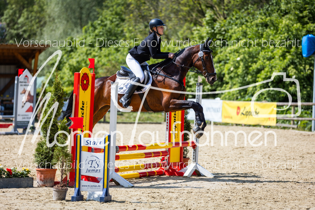 Donop24-SprRW-049 | MomenTaufnahmen Pferdesportfotos