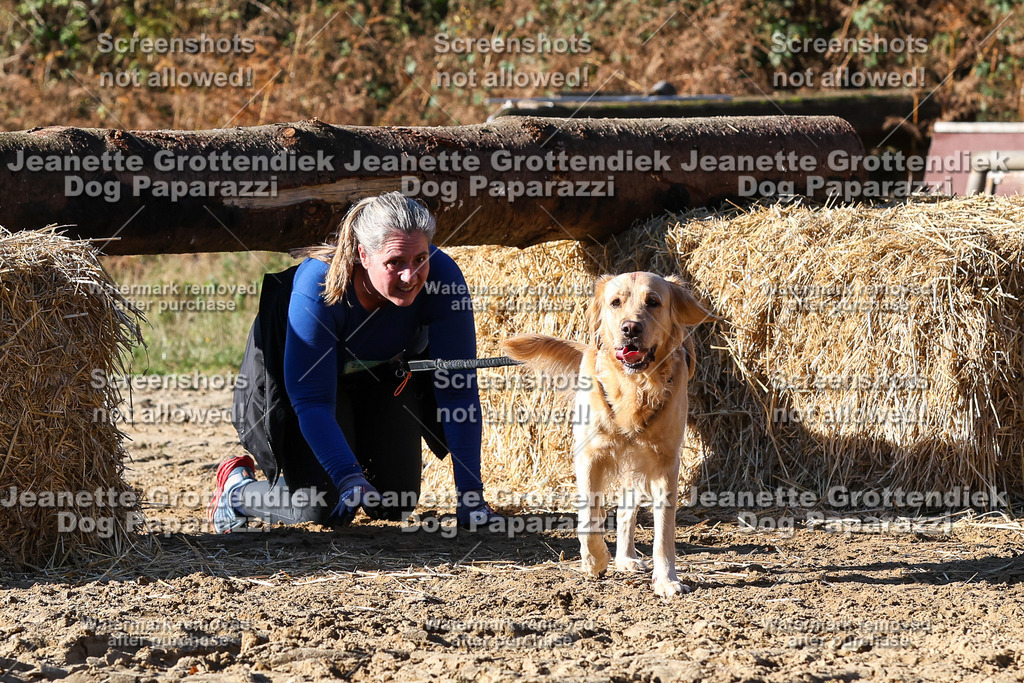 Dog Paparazzi - Strongdog 10-25-2451 | Dog Paparazzi Jeanette Grottendiek Fotografie & Videografie - Realisiert mit Pictrs.com