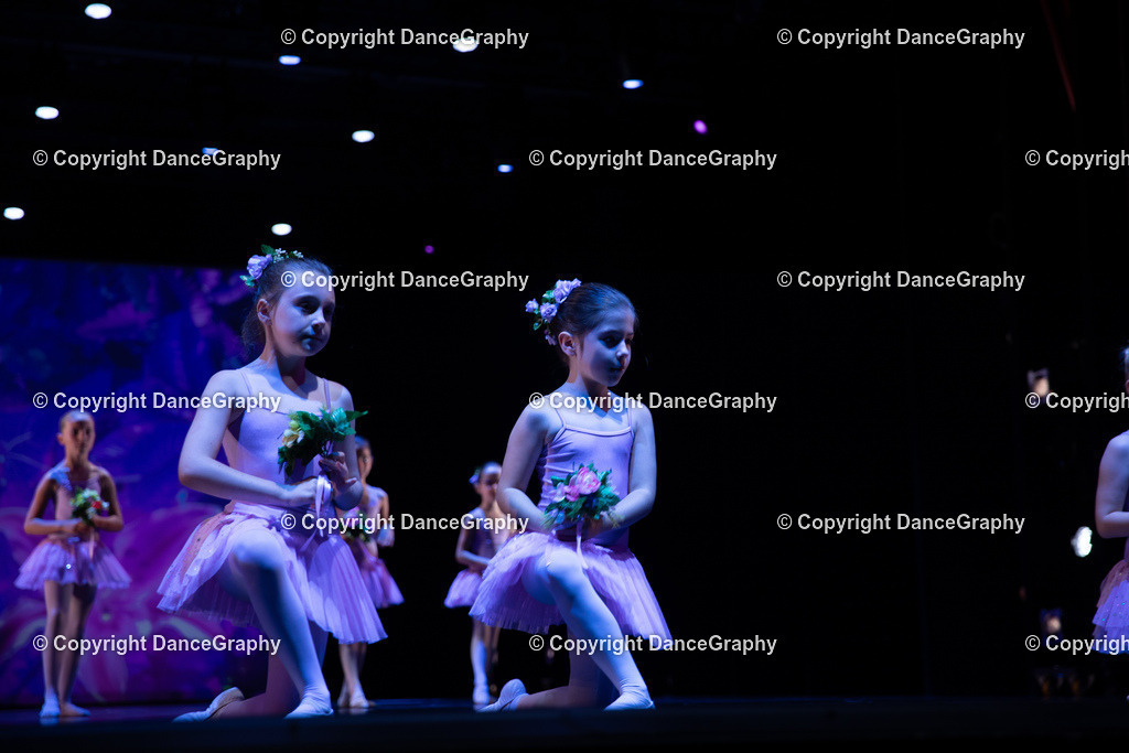 GPHY4869 | DanceGraphy - Realisiert mit Pictrs.com