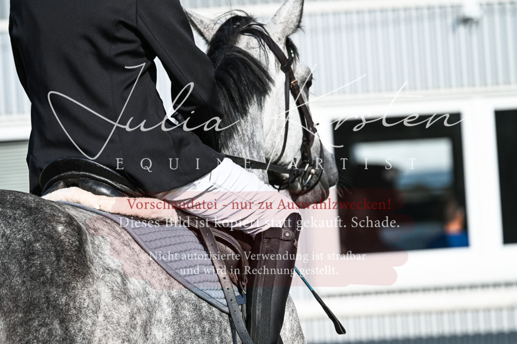 DSC_7485 | Pferde- und Turnierfotografie in Westsachsen. Pferdeportraits, Auftragszeichnungen und intuitive Kunst.