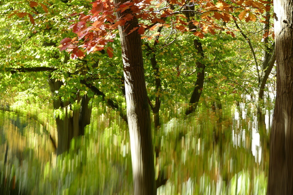 P4030841 | Annaeherungen - Realisiert mit Pictrs.com