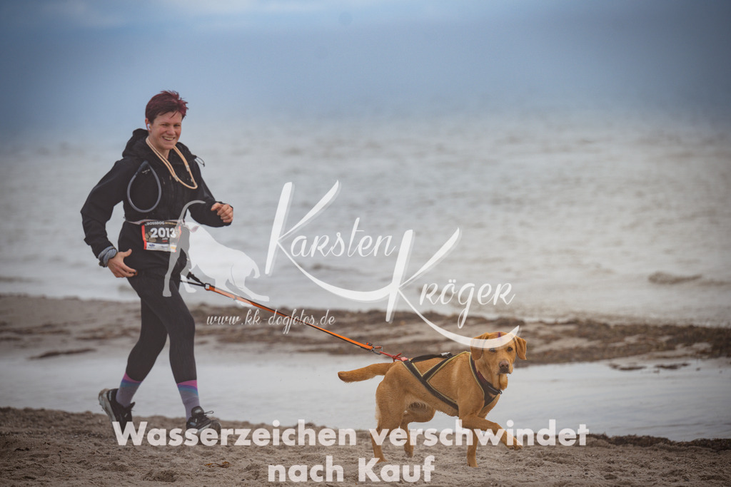 1148_ZZ91514 | kk-dogfotos