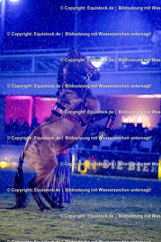 20250606_Lange-Pferdenacht_1139 | Foto: Thomas Hartig