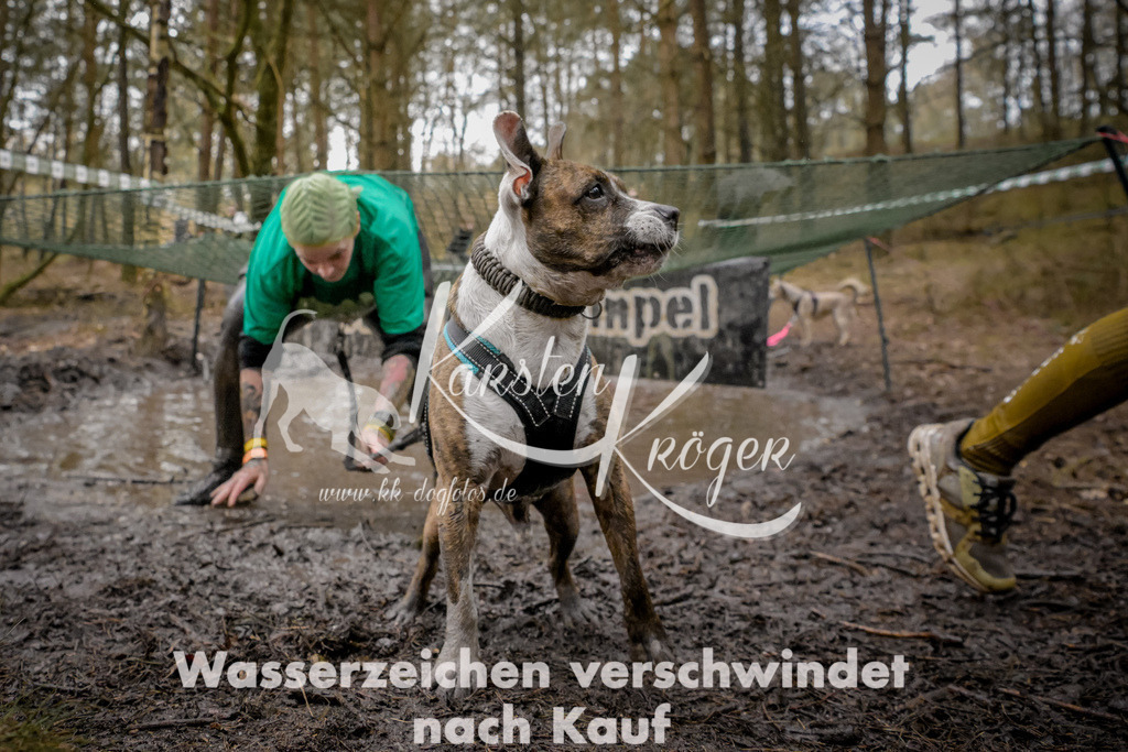 1007_ZZ99634 | kk-dogfotos