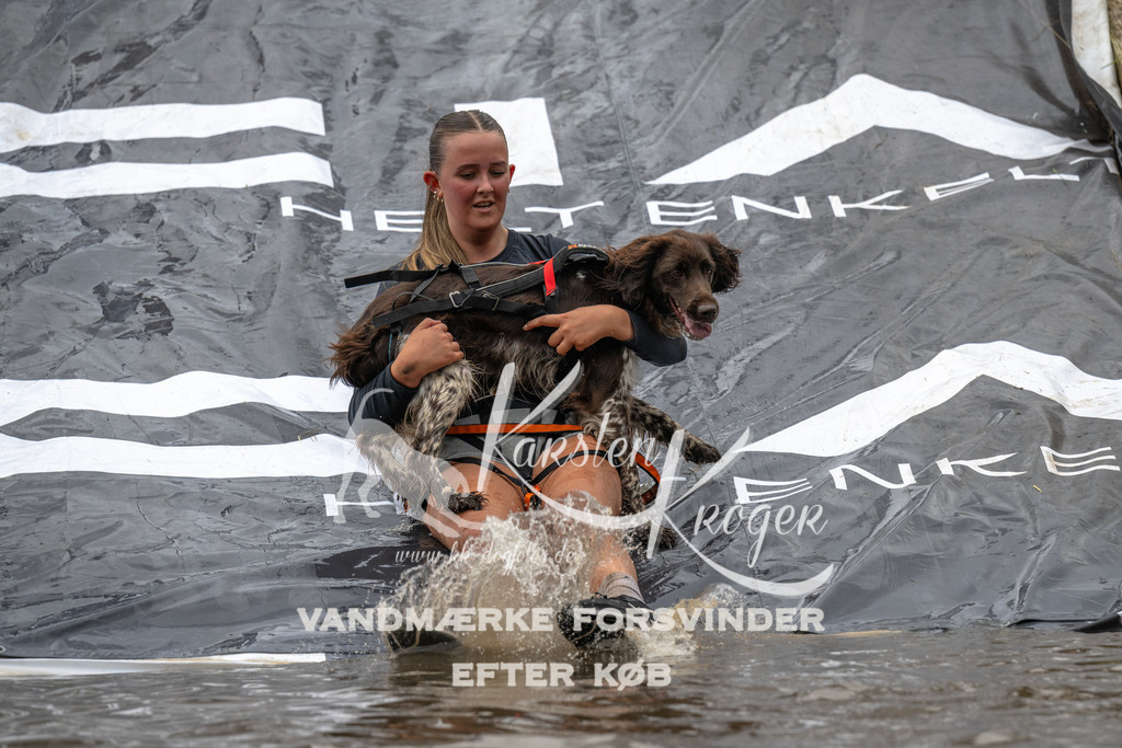 1557_ZZ91532 | kk-dogfotos