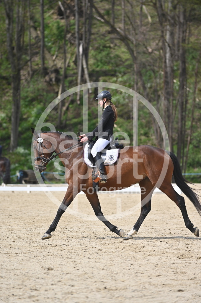 DSC_3379 | sattelsport - Realisiert mit Pictrs.com