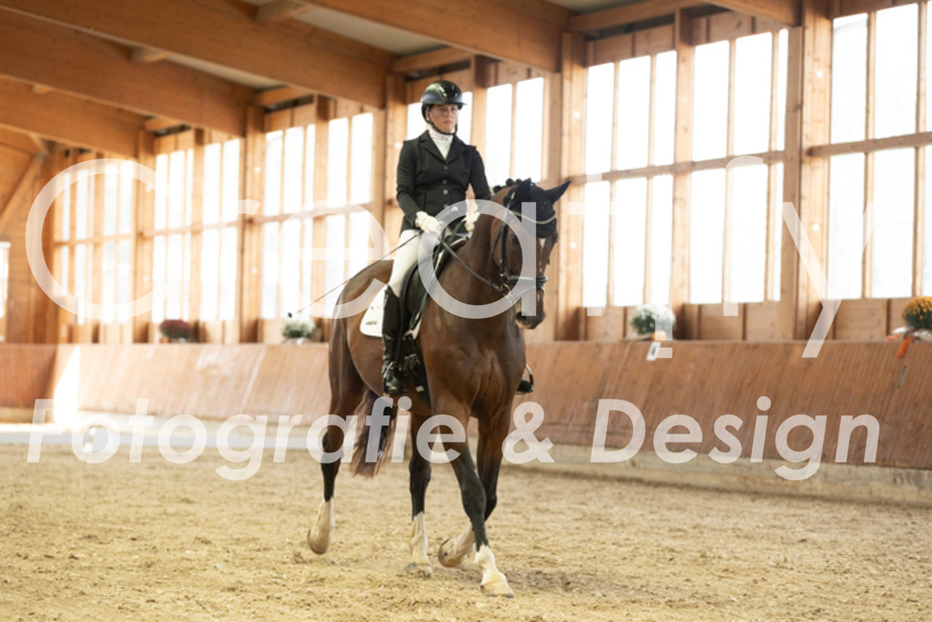 IMG_2603 | Creatify Fotografie