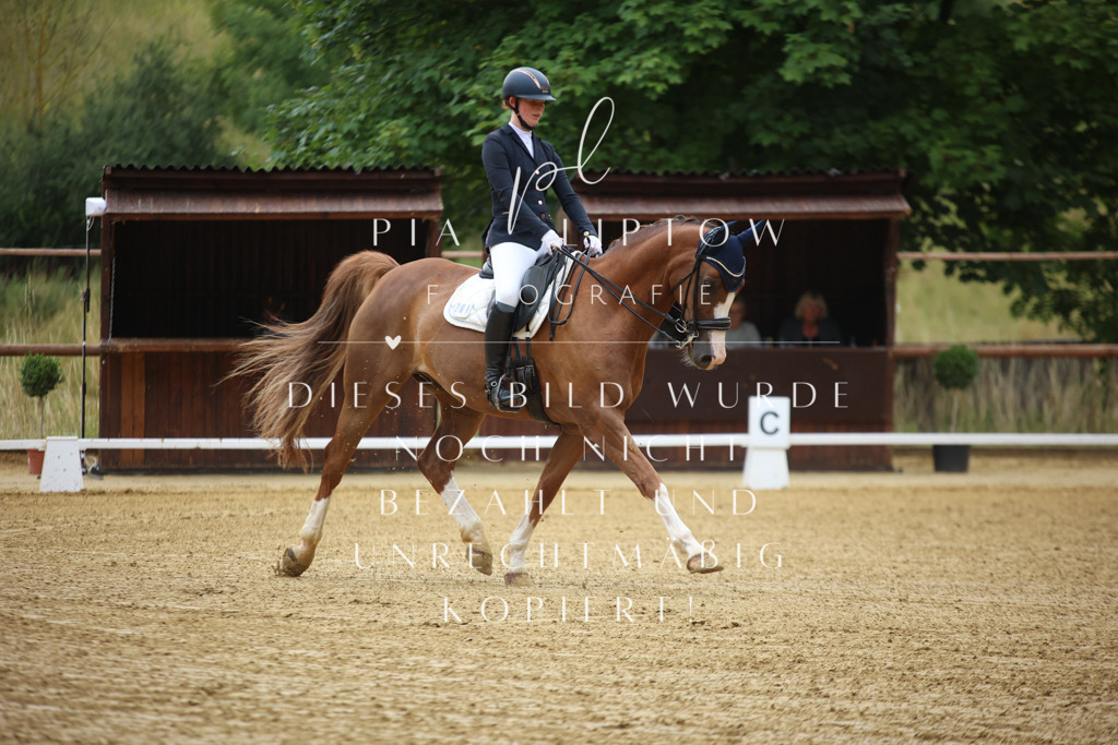 IMGM1124 | pl-fotografie