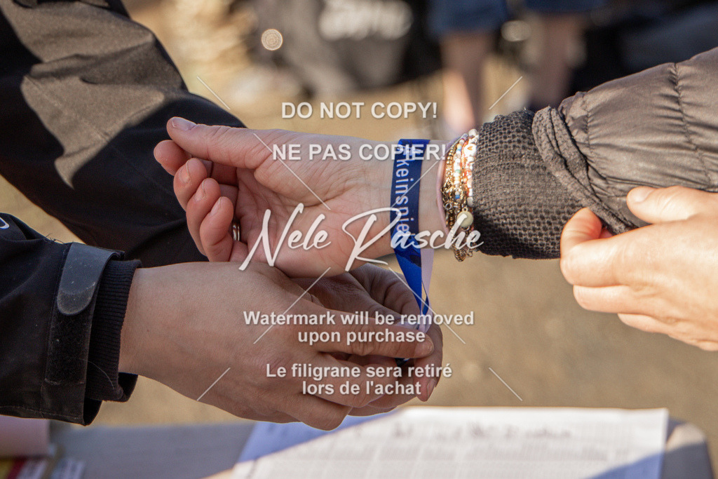 NR__0413-2 | nelerasche