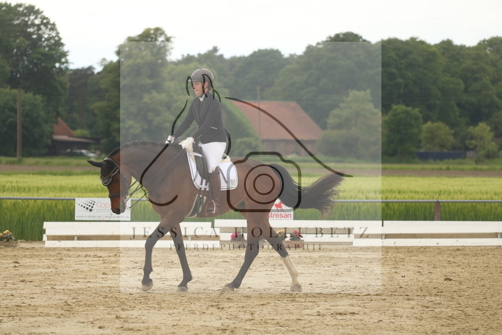 IMG_7710 | jessicahollubetz_pferdephotographie - Realisiert mit Pictrs.com