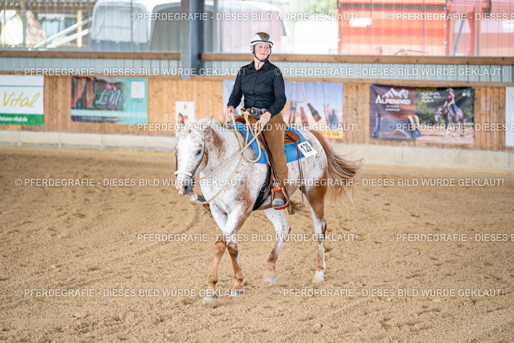 DSC01953 | Pferdegrafie