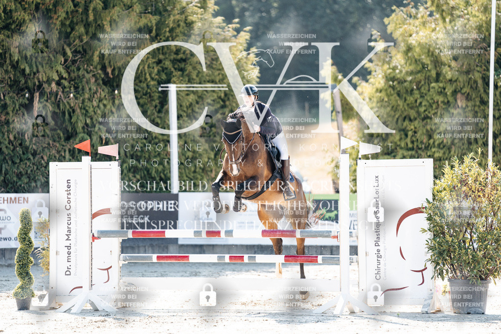 CK907799 | Turnierfotografie Pferdefotografie Trier Rheinland-Pfalz Pferdesport Reitsport Tierfotografie Sportfotografie Pferdevideo Pferdevideografie Equestrianvideography equestrianphotography  - Realisiert mit Pictrs.com