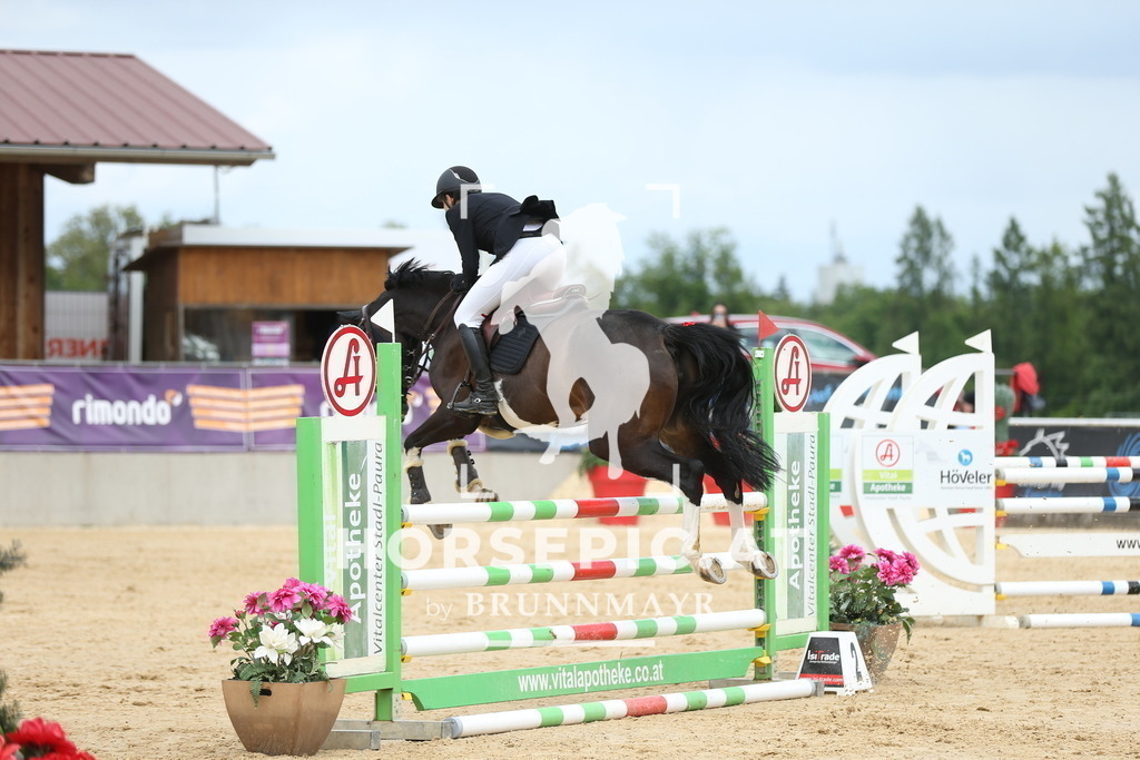 DL2Q1645 | Willkommen bei Brunnmayr - Design & Fotografie – Ihrem Spezialisten für Reitturniere und Pferdeveranstaltungen in Oberösterreich, Salzburg und Bayern! Seit über 17 Jahren sind wir leidenschaftlich dabei.