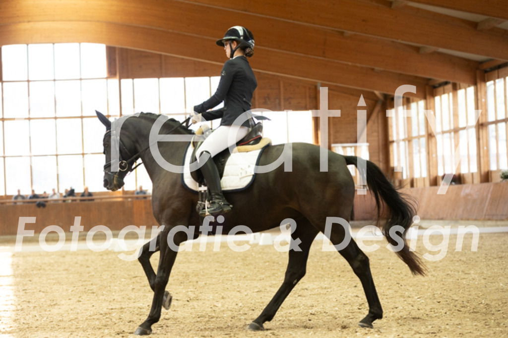 IMG_1928 | Creatify Fotografie