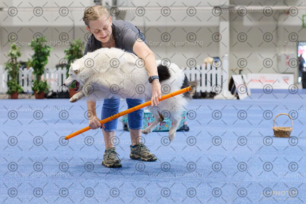 202406_ÖKV-IHA-Tulln24_DSC_4516 | proPHOTO - Realisiert mit Pictrs.com