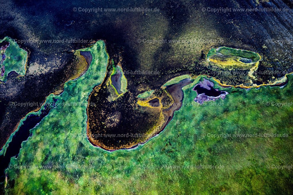 Sylt_Rantum_Rantumbecken_Salzwiesen_ELS_97693130825 | SYLT 13.08.2025 Grasflächen- Strukturen einer Feld- und Wiesen- Landschaft " Rantumbecken " in Sylt Nordsee - Insel im Bundesland Schleswig-Holstein, Deutschland. // Grass area structures of a salt marsh landscape " Rantumbecken " in Sylt North Sea Island in the state Schleswig-Holstein, Germany. Foto: Martin Elsen