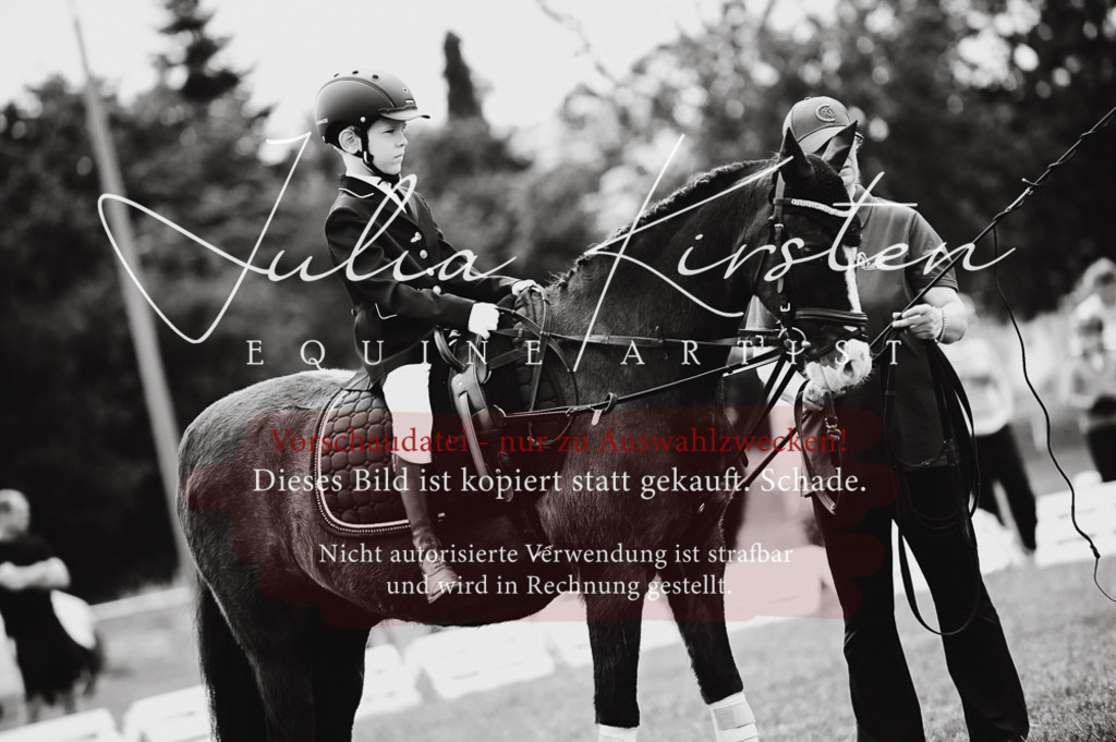 DSC_5355 | Pferde- und Turnierfotografie in Westsachsen. Pferdeportraits, Auftragszeichnungen und intuitive Kunst.