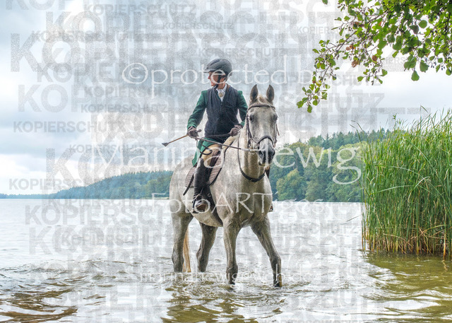 Jagd Perdoel_MarinaHewigDSCF3618 | Fotografie, FotoArt, PferdesportArt, Pferdesportfotografie, Landschaftsfotografie, Reisefotografie, Reise, Pferde - Realisiert mit Pictrs.com