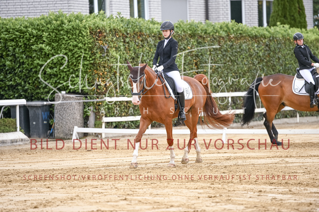 Schugtsche-Aluta25-42.EDressur -134 | Schugtsche Fotografie - Realisiert mit Pictrs.com