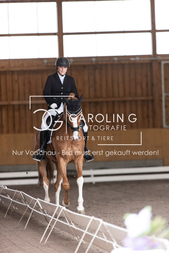 DSC_2415 | Carolin Gieschke