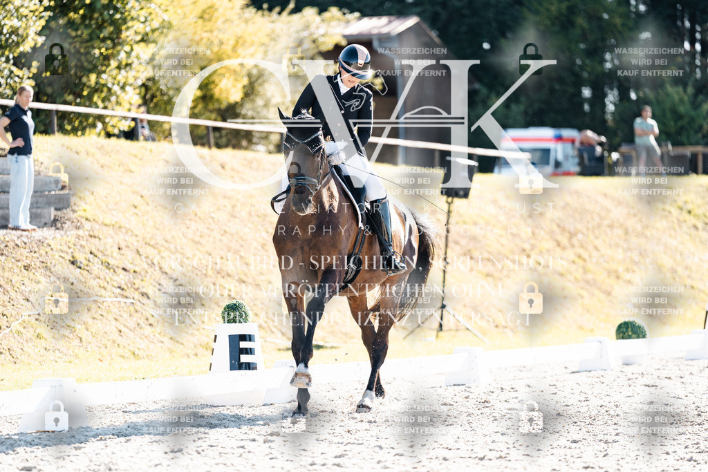 CK906182 | Turnierfotografie Pferdefotografie Trier Rheinland-Pfalz Pferdesport Reitsport Tierfotografie Sportfotografie Pferdevideo Pferdevideografie Equestrianvideography equestrianphotography  - Realisiert mit Pictrs.com