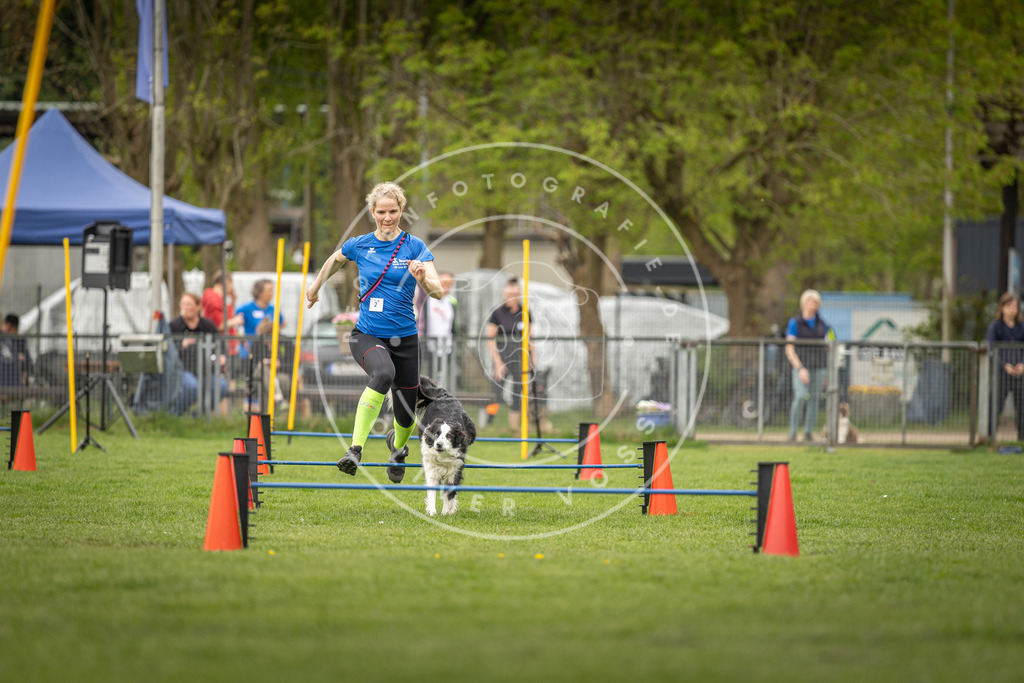 Pfotenfotografie_DV3A8148 | Hundefotografie, Tierfotograf, Pfotenfotografie, Fotoshooting Hund, Hunde Portrait, Hundesport, Hundeportraits, Heideshooting, Hunde, Sportfotograf, Hundefotograf, Turnierhundsport, THS,  - Realisiert mit Pictrs.com