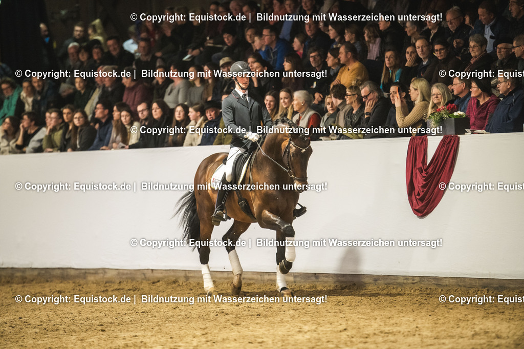 20240302_Hengstvorstellung_Marbach_TOMsPiC_1246 | equistock