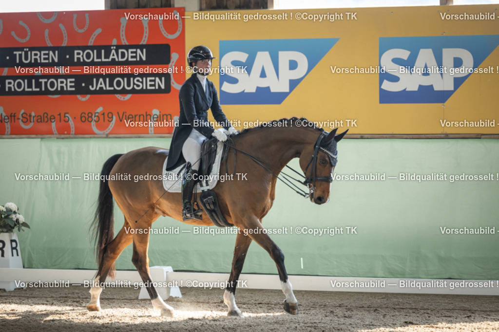 _D5A9868 | Emotionale Pferde- & People-Fotografie rund um Heidelberg, Leimen & Umgebung. Natürliche Fotos von Pferd, Mensch & Familie. Jetzt Termin sichern!