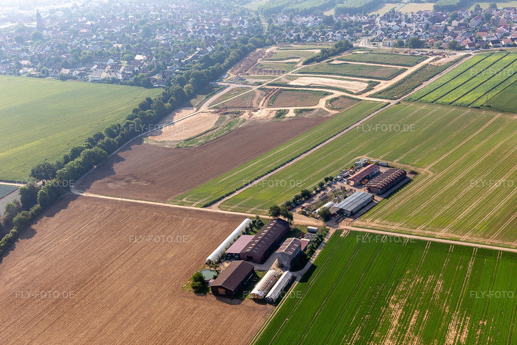 Luftbild: Aussiedlerhof in Kandel im Bundesland Rheinland-Pfalz in Deutschland. Foto: IMG_117334.jpg vom 25.08.2019 durch Werner Riehm/FLY-FOTO.de