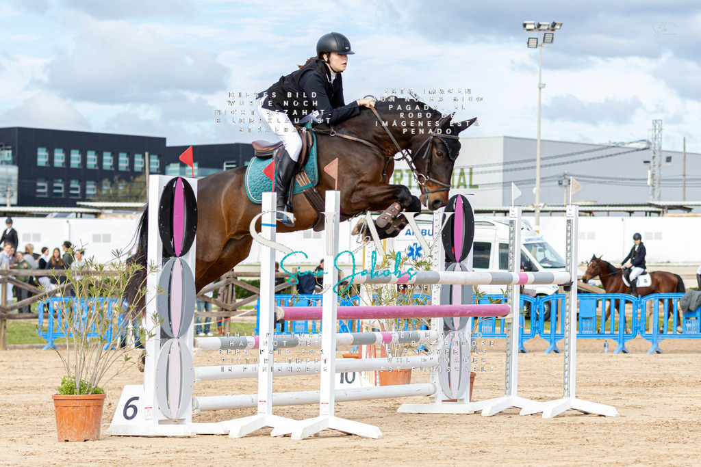 IMG_2654 | s-jay-photography - Realisiert mit Pictrs.com