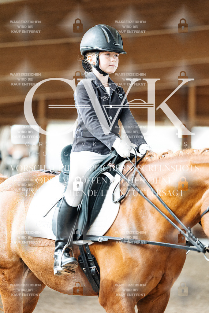 CK902053 | Turnierfotografie Pferdefotografie Trier Rheinland-Pfalz Pferdesport Reitsport Tierfotografie Sportfotografie Pferdevideo Pferdevideografie Equestrianvideography equestrianphotography  - Realized with Pictrs.com