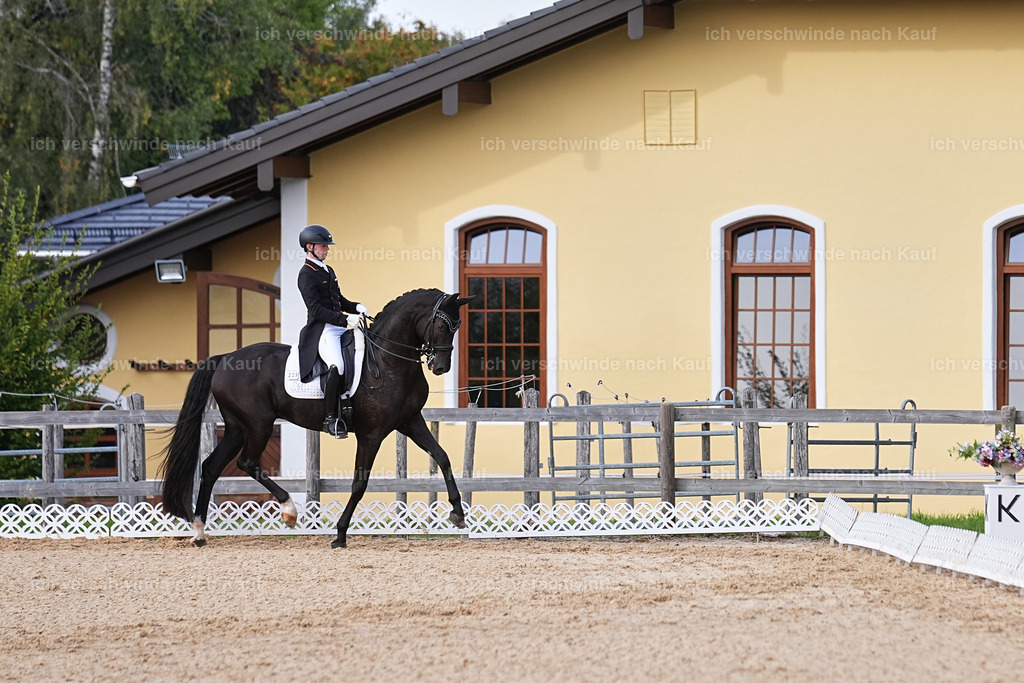 13-229-S___ -Marixx-7061 | working equitationturnier fotograf videograf stoibphotography marixx film working equitation deutschland reitsport turnierfotografie eventfotografie equestrian events