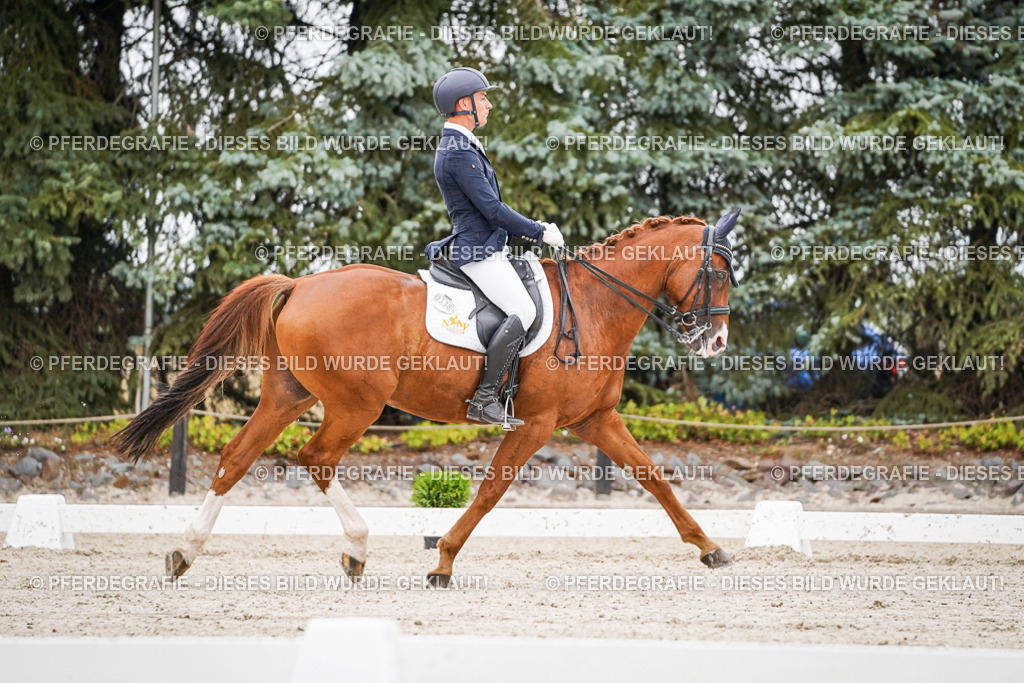 DSC08376 | Pferdegrafie