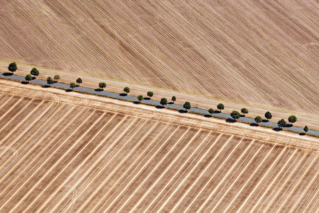 dr__0030292.jpg | LANDSBERG 24.07.2019 Baumreihe an einer Landstraße an einem Feldrand in Landsberg im Bundesland Sachsen-Anhalt, Deutschland. // Row of trees on a country road on a field edge in Landsberg in the state Saxony-Anhalt, Germany. Foto: Daniel Reiter