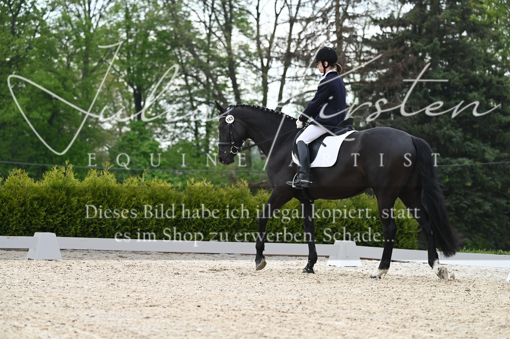 20230512_JK-Röhrsdorf-02-209 | Pferde- und Turnierfotografie in Westsachsen. Pferdeportraits, Auftragszeichnungen und intuitive Kunst.