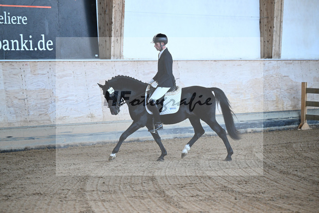 Kat-Nr. 12 Manhattans Highlight v. Manhattan Love Story_Agrar GmbH Crawinkel_43250163 | hf-fotografie - Realized with Pictrs.com