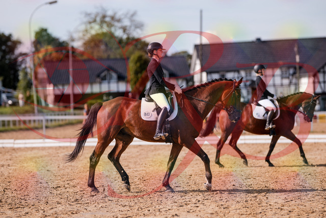 2026_10_03_Siefer-Hof_130840_Z81_61408281 | Professionelle Reitsport-, Turnier- und Eventfotografie von Robert Broda. Galerien mit ausgewählten und bearbeiteten Bildern direkt online ansehen und bestellen.