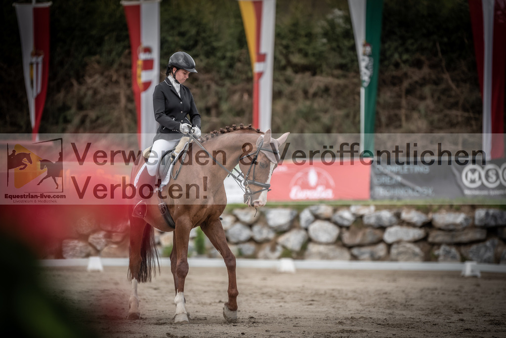 DSC_3056 | equestrian-live-com