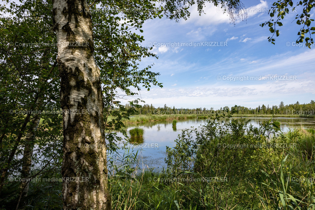 _J3A5386 | medienkrizzler - Realisiert mit Pictrs.com